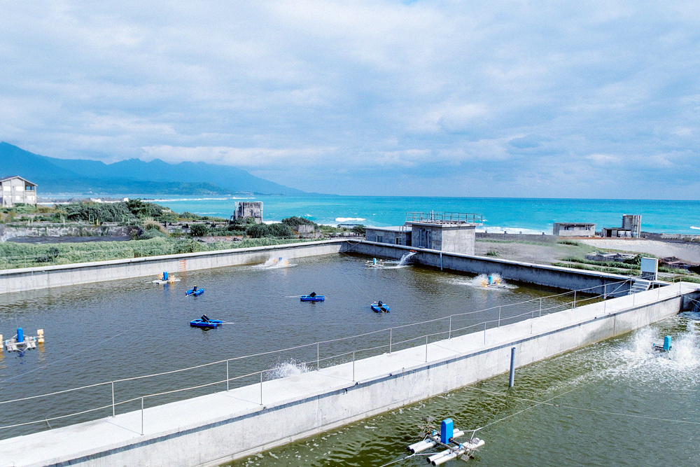 Taiwan-JIAJIN OCEAN RANCH CO., LTD.