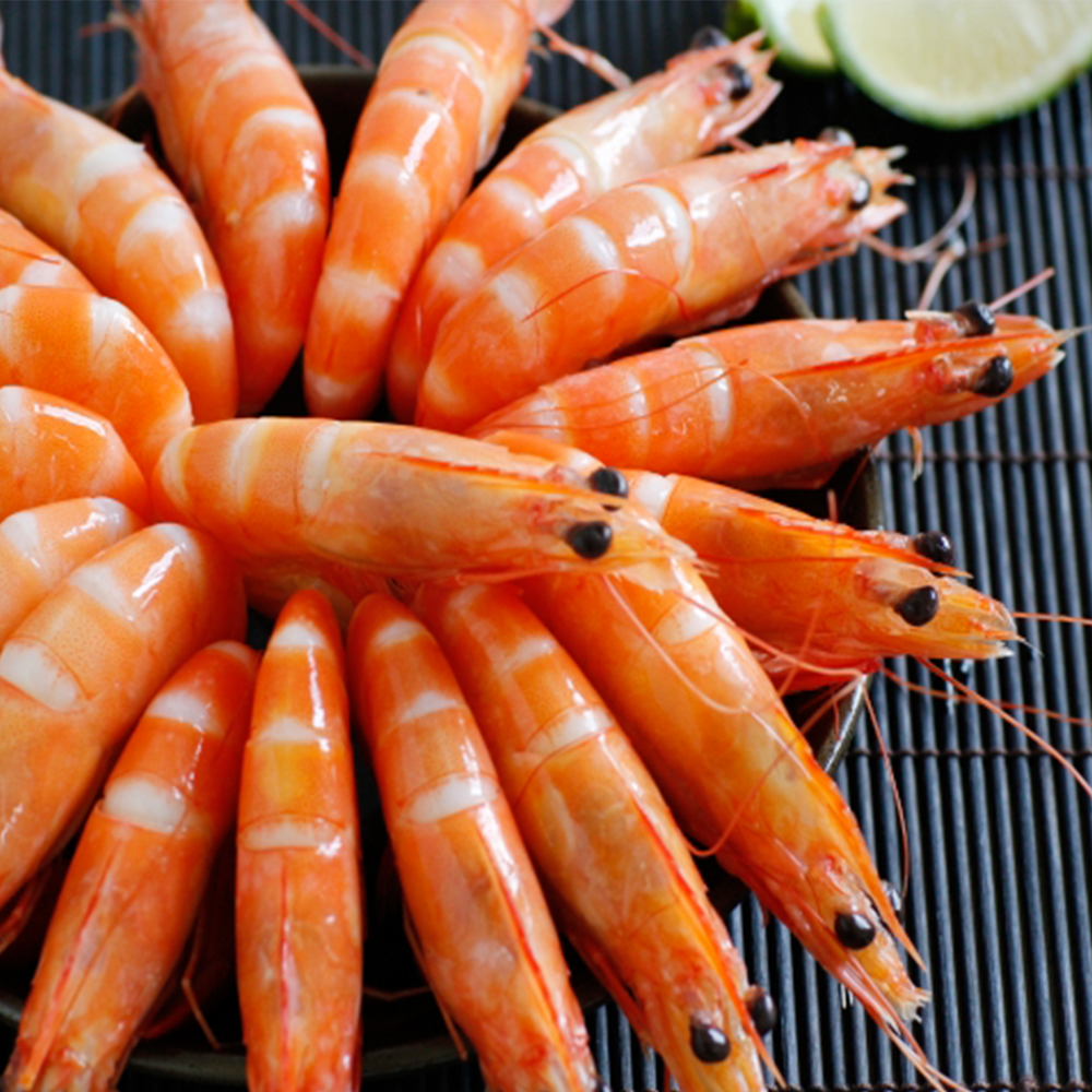 Shrimp